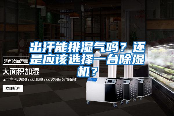 出汗能排濕氣嗎？還是應該選擇一臺除濕機？
