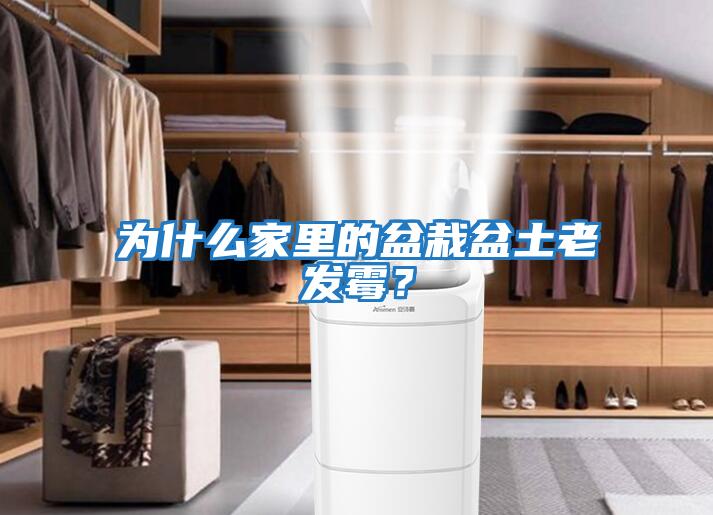 為什么家里的盆栽盆土老發霉？