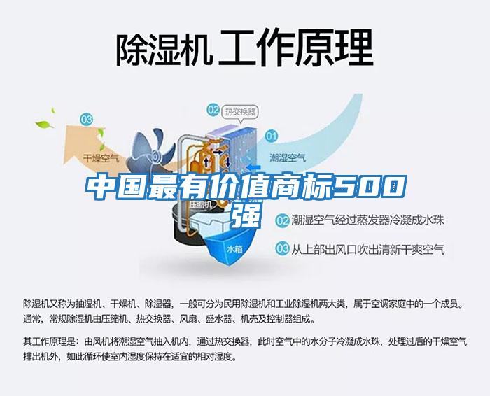 中國(guó)最有價(jià)值商標(biāo)500強(qiáng)