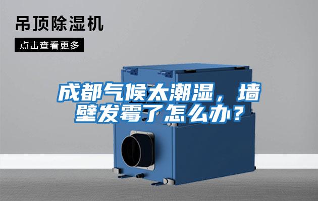 成都?xì)夂蛱睗瘢瑝Ρ诎l(fā)霉了怎么辦？