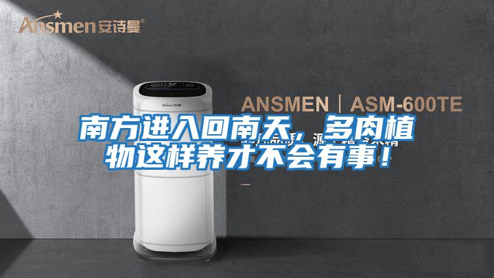 南方進(jìn)入回南天，多肉植物這樣養(yǎng)才不會(huì)有事！