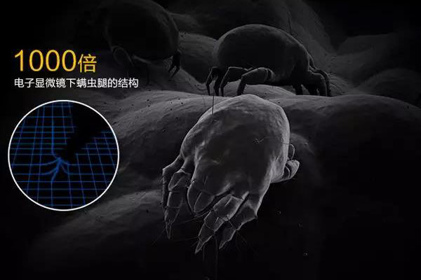 螨蟲高發季,家用除濕機除螨有妙計!_重復