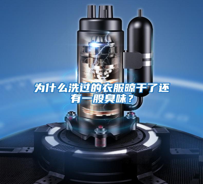 為什么洗過的衣服晾干了還有一股臭味？