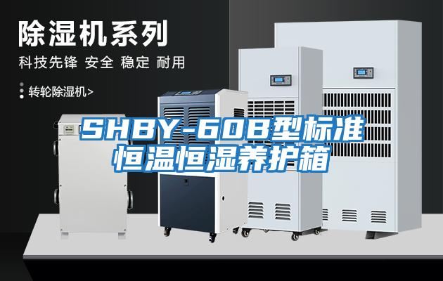 SHBY-60B型標準恒溫恒濕養護箱