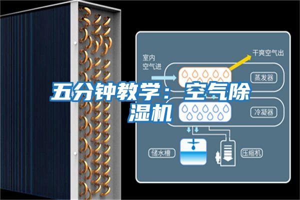 五分鐘教學:空氣除濕機