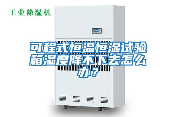 可程式恒溫恒濕試驗箱濕度降不下去怎么辦？