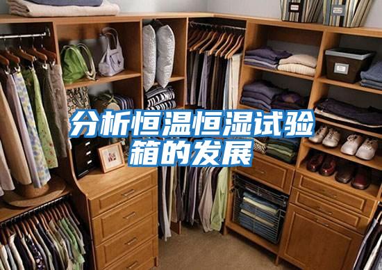 分析恒溫恒濕試驗箱的發展