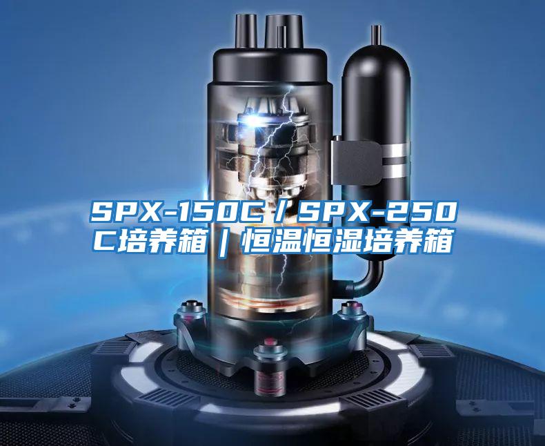 SPX-150C/SPX-250C培養箱|恒溫恒濕培養箱