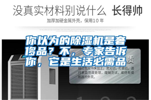 你以為的除濕機是奢侈品？不，專家告訴你，它是生活必需品