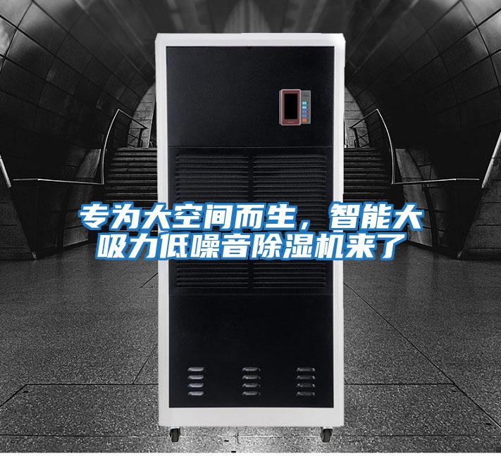 專為大空間而生，智能大吸力低噪音除濕機來了