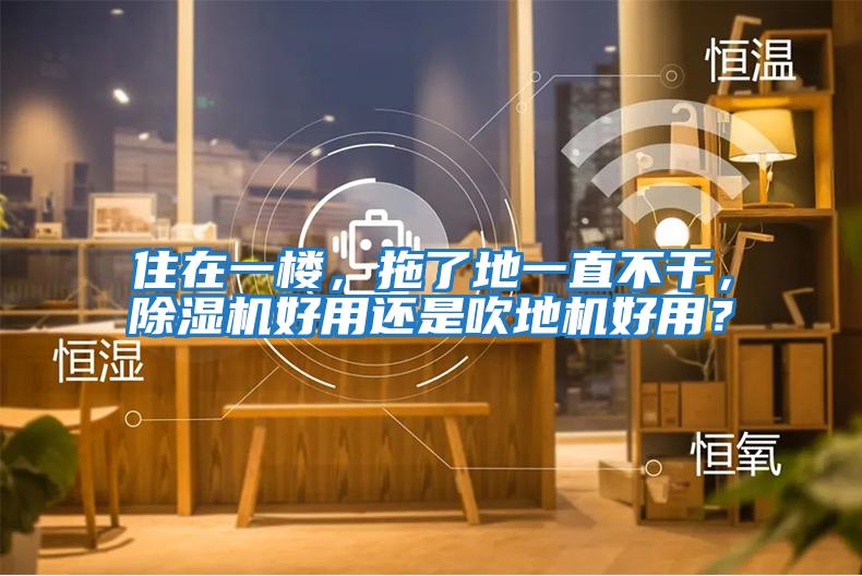 住在一樓，拖了地一直不干，除濕機好用還是吹地機好用？