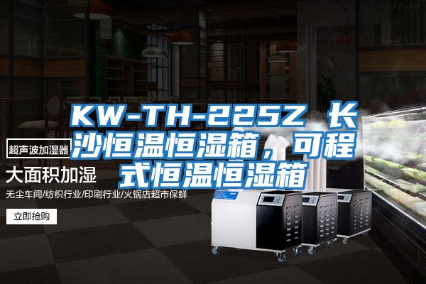 KW-TH-225Z 長沙恒溫恒濕箱，可程式恒溫恒濕箱