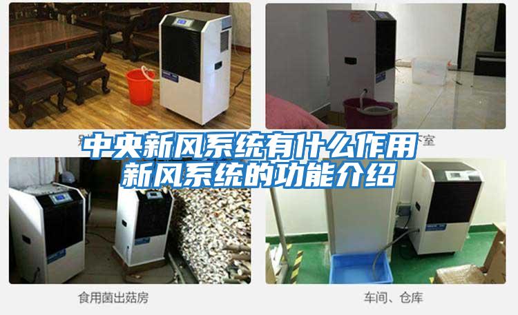 中央新風系統有什么作用 新風系統的功能介紹