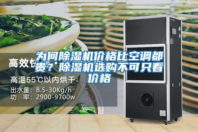 為何除濕機(jī)價(jià)格比空調(diào)都貴？除濕機(jī)選購(gòu)不可只看價(jià)格