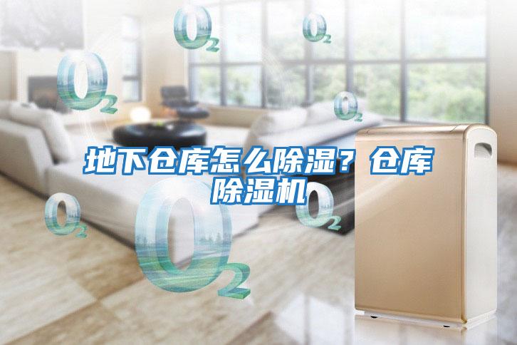 地下倉庫怎么除濕？倉庫除濕機
