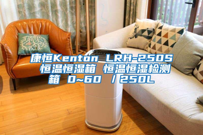 康恒Kenton LRH-250S 恒溫恒濕箱 恒溫恒濕檢測箱 0~60℃/250L