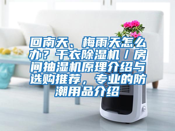 回南天、梅雨天怎么辦?干衣除濕機/房間抽濕機原理介紹與選購推薦,專業的防潮用品介紹