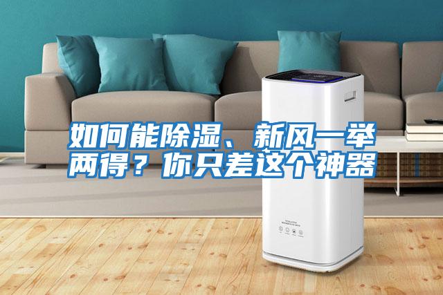 如何能除濕、新風一舉兩得？你只差這個神器