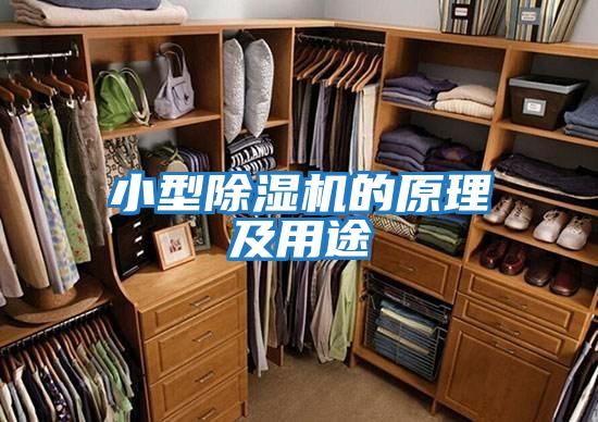 小型除濕機的原理及用途