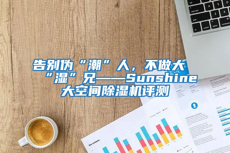 告別偽“潮”人,不做大“濕”兄——Sunshine大空間除濕機(jī)評測