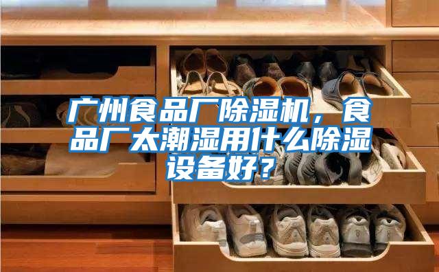 廣州食品廠除濕機，食品廠太潮濕用什么除濕設備好？