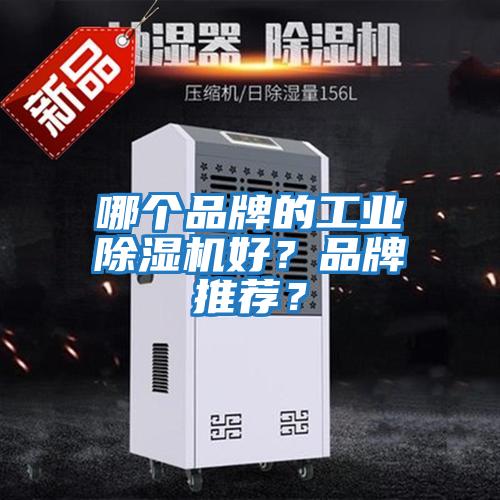 哪個品牌的工業(yè)除濕機好？品牌推薦？