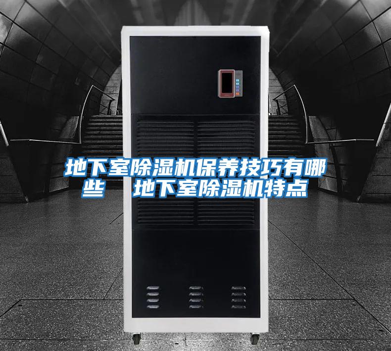 地下室除濕機保養技巧有哪些  地下室除濕機特點