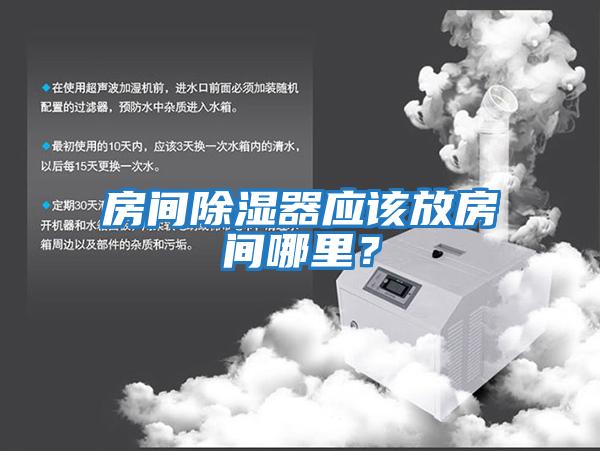 房間除濕器應該放房間哪里？