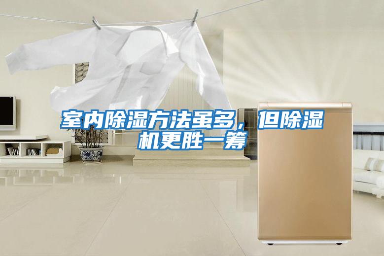 室內(nèi)除濕方法雖多,但除濕機更勝一籌