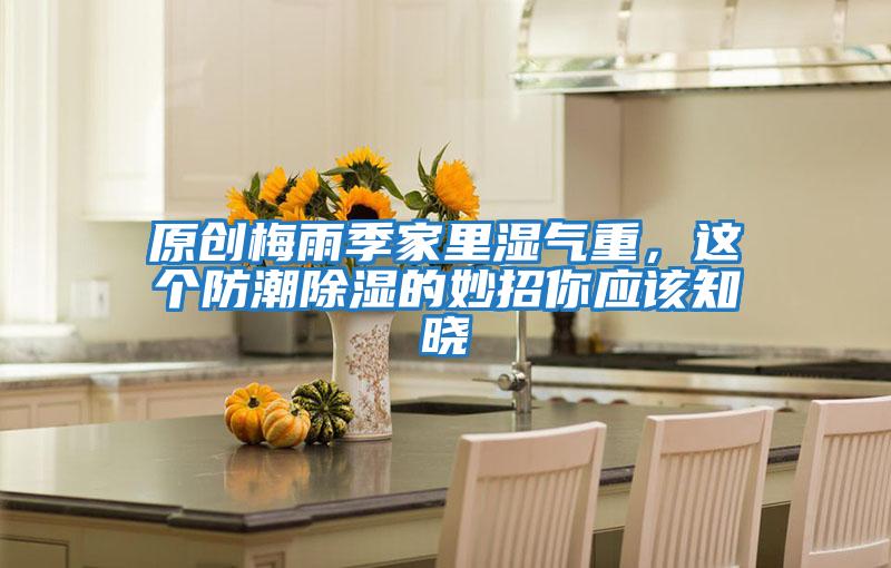 原創(chuàng)梅雨季家里濕氣重，這個防潮除濕的妙招你應(yīng)該知曉