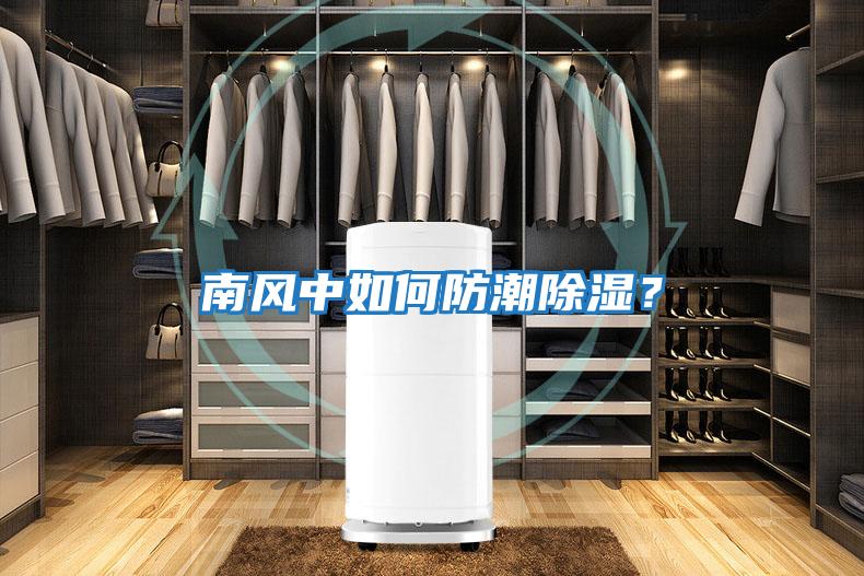 南風中如何防潮除濕？