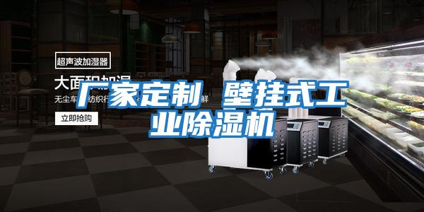 廠家定制 壁掛式工業除濕機