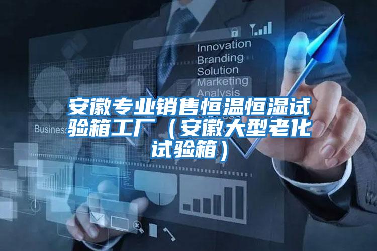 安徽專(zhuān)業(yè)銷(xiāo)售恒溫恒濕試驗(yàn)箱工廠(chǎng)（安徽大型老化試驗(yàn)箱）