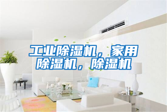 工業(yè)除濕機(jī)，家用除濕機(jī)，除濕機(jī)