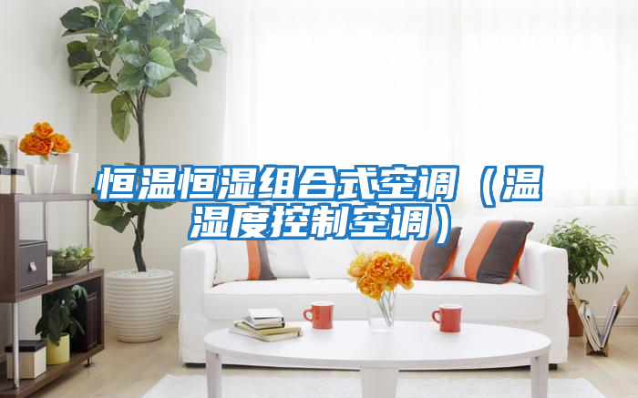 恒溫恒濕組合式空調(溫濕度控制空調)
