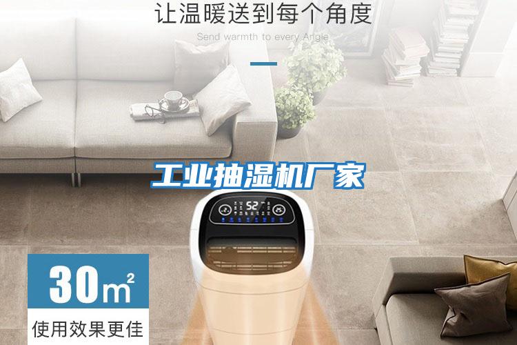 工業(yè)抽濕機(jī)廠(chǎng)家