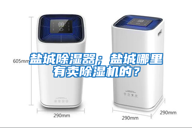 鹽城除濕器；鹽城哪里有賣除濕機的？