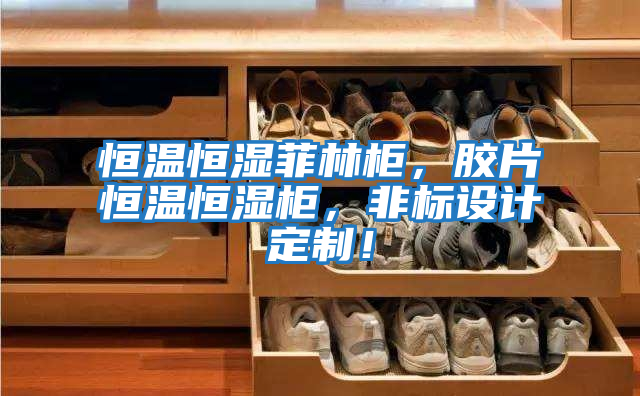 恒溫恒濕菲林柜，膠片恒溫恒濕柜，非標設計定制！