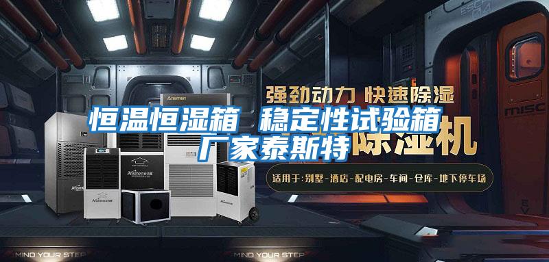 恒溫恒濕箱 穩定性試驗箱 廠家泰斯特