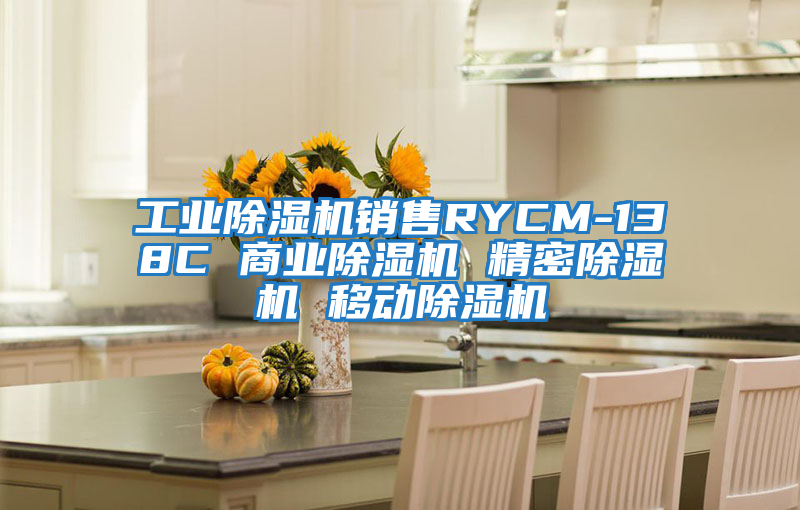 工業除濕機銷售RYCM-138C 商業除濕機 精密除濕機 移動除濕機