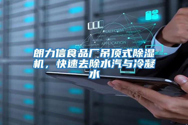 朗力信食品廠吊頂式除濕機，快速去除水汽與冷凝水