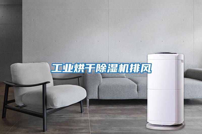 工業烘干除濕機排風
