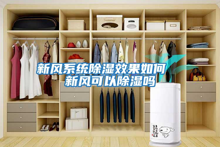 新風系統除濕效果如何  新風可以除濕嗎