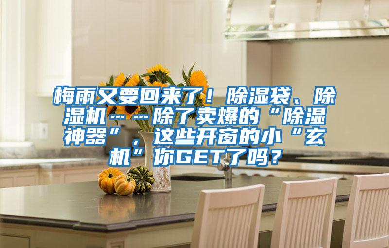 梅雨又要回來了!除濕袋、除濕機(jī)……除了賣爆的“除濕神器”,這些開窗的小“玄機(jī)”你GET了嗎?