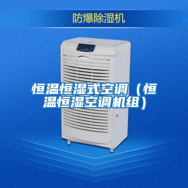 恒溫恒濕式空調（恒溫恒濕空調機組）