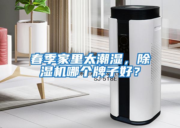 春季家里太潮濕，除濕機哪個牌子好？