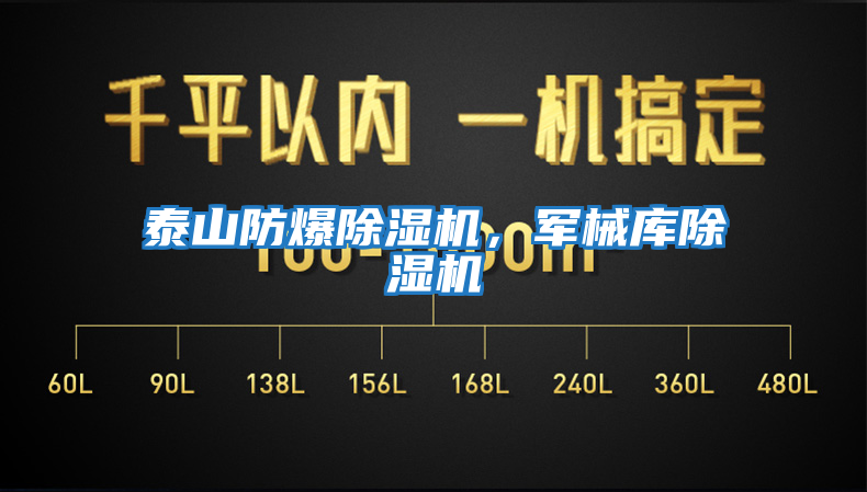 泰山防爆除濕機(jī)，軍械庫除濕機(jī)