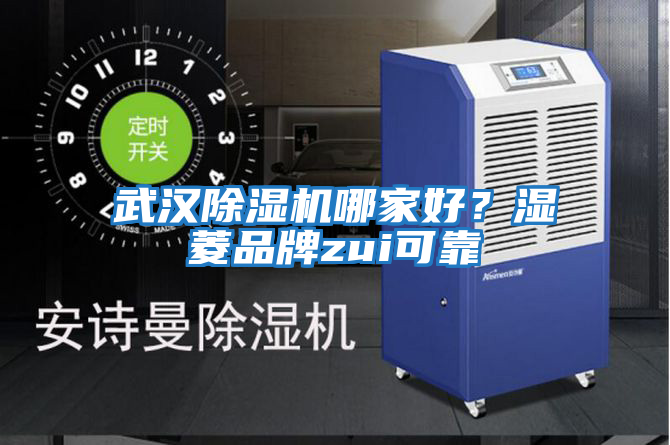 武漢除濕機哪家好?濕菱品牌zui可靠