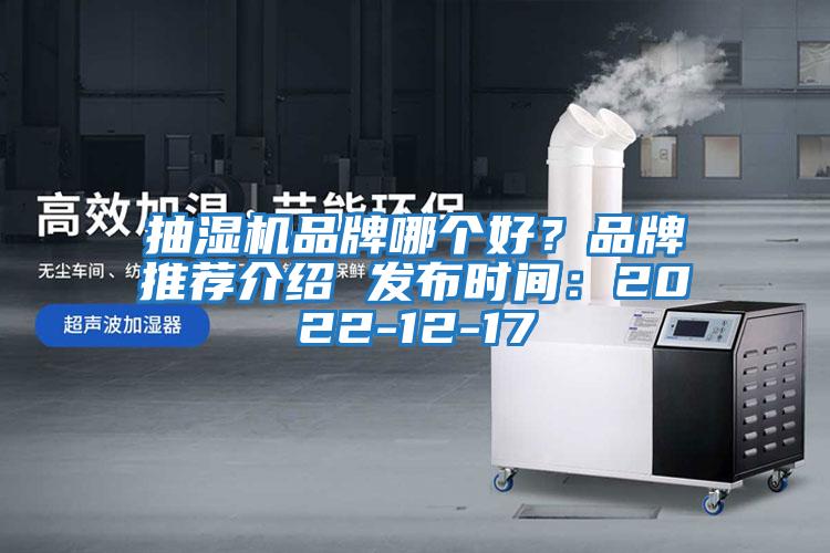 抽濕機品牌哪個好？品牌推薦介紹 發布時間：2022-12-17