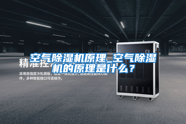空氣除濕機原理_空氣除濕機的原理是什么?